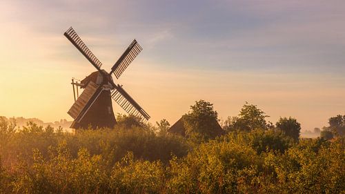 Een ochtend bij de Noordermolen Groningen