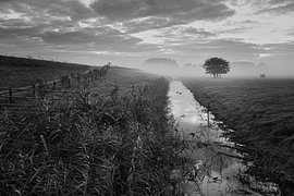 Mijzerdijk bei Nebel von Peter Heins