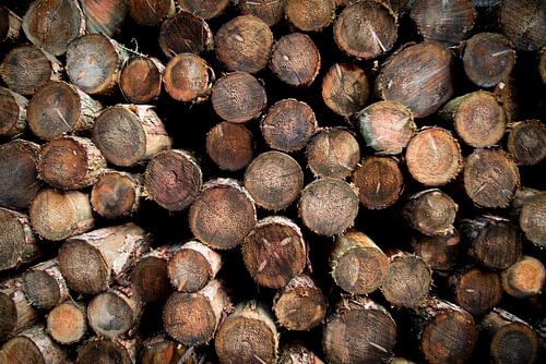 Gestapelte Baumstämme