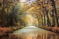 Autumn colours