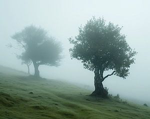 Herbstnebel