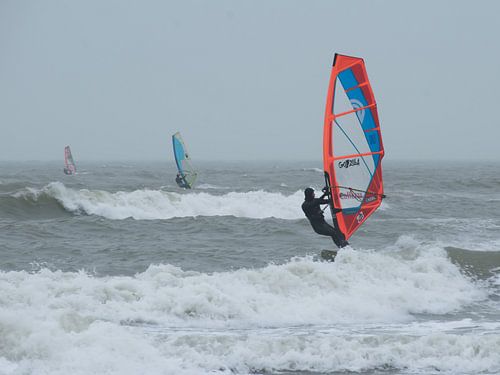 Windsurfen in de branding