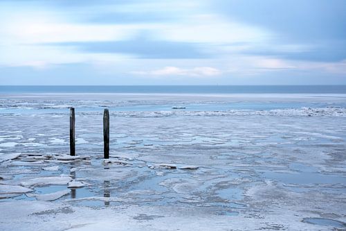 Wad - Winter Wonderland 4