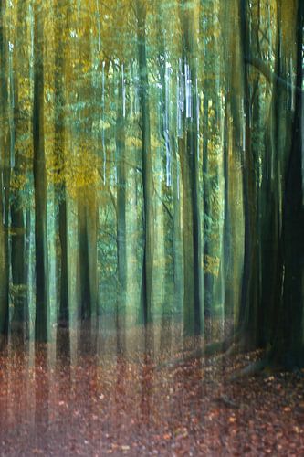 Renkums Beekdal part 14