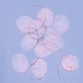 Feuille d'argent, pêche, violet sur Claudia Gründler