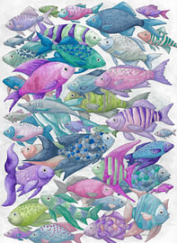 Fish, fish, fish by Sandra Steinke
