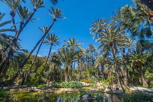 Botanische tuin Huerto del Cura 