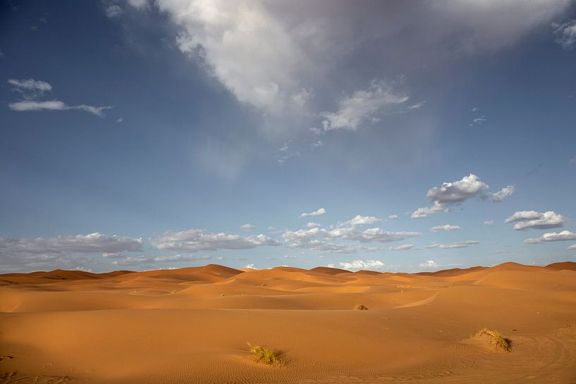 zandduinen in de woestijn van de Sahara in Marokko, Afrika van Tjeerd Kruse