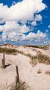 View over the dunes by Rob van Dongen thumbnail