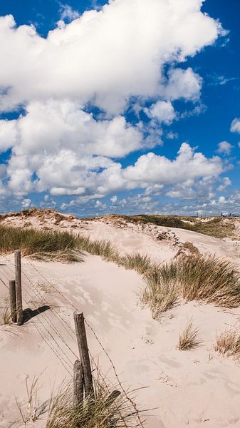 View over the dunes by Rob van Dongen