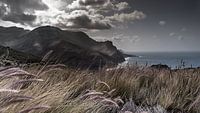 coastal gran canaria