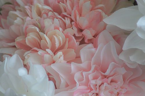 Pink flowers