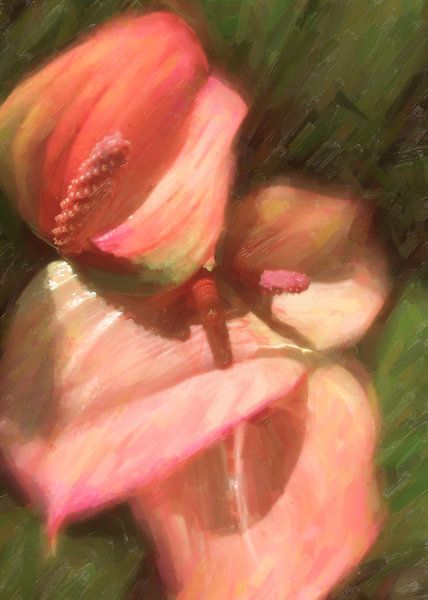 Pink Anthuriums by Nop Briex