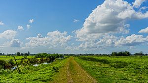 Landschaftsfoto im Polder von Gouda
