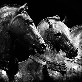 Quadriga - Pferden von San Marco von Robert-Jan van Lotringen