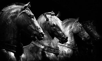 Quadriga - Pferden von San Marco von Robert-Jan van Lotringen