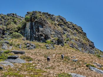 Auf der Suche nach einem Gipfelziel im Andenhochgebirge