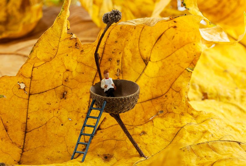 acorn cap van ChrisWillemsen