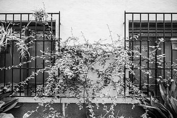 Windows in a small street in an old Spanish village. by Arte D'España