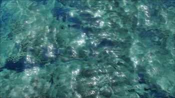 Digital painting of shimmering sunlight on clear seawater