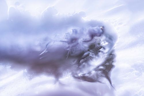 Blauw Veertje | Abstracte Foto | Fine Art