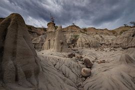 Grey section Tatacoa desert by Ronne Vinkx