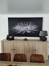 Kundenfoto: Löwenzahn schwarz/weiß von Wim van Beelen, als akustikbild