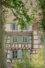 Half-timbered house through the trees in Colmar, Alsace region of France by Anke Sol