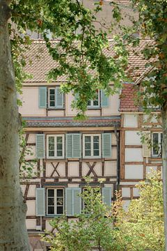 Vakwerkhuis door de bomen in Colmar, Alsace regio te Frankrijk van Anke Sol