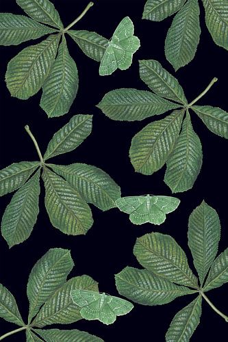 Bladeren paardenkastanje met zomervlinders