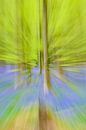 Abstract zoomeffect op een beukenboom in een lentebos met blauwe wilde hyacinten bloemen van Sjoerd van der Wal Fotografie thumbnail