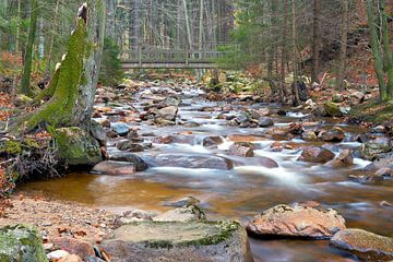 De rivier de Ilse in het Harz Nationaal Park van Heiko Kueverling