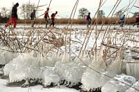 Nieuwkoopse Plassen in winter with ice