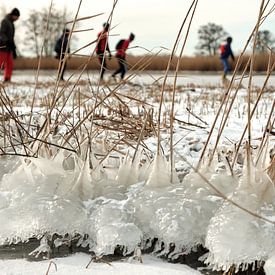 Nieuwkoopse Plassen en hiver avec de la glace sur Arie Bon