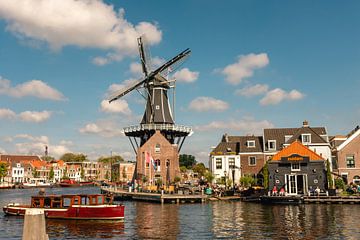 The city of Haarlem with the water and the mill De Adriaan