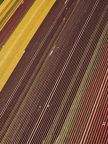 La Hollande vue d'en haut