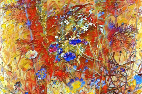 Summer meadow with cornflowers