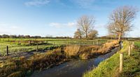 Snelstromende beek in Nederlands  herfstlandschap van Ruud Morijn thumbnail