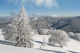 Uitzicht op de Feldberg in het Zwarte Woud van Michael Valjak