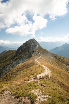 Lonely mountain path by Steffie van der Putten