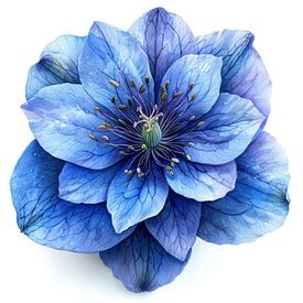 Delphinium Dream by Chromatic Fusion Studio