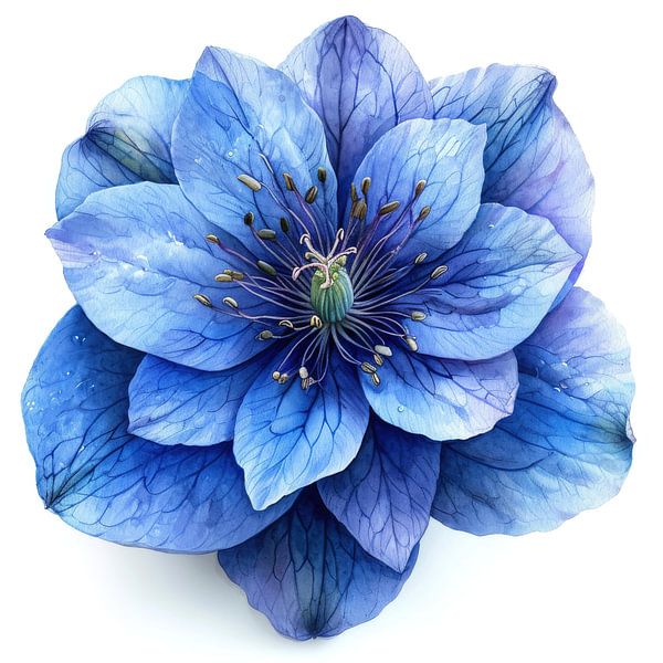 Delphinium Dream by Chromatic Fusion Studio