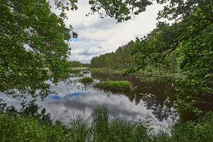 Zweeds landschap 183 van Geertjan Plooijer