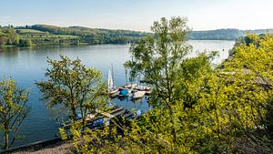 Zicht op zeilschepen en Baldeneysee Essen Ruhrgebied Duitsland van Dieter Walther