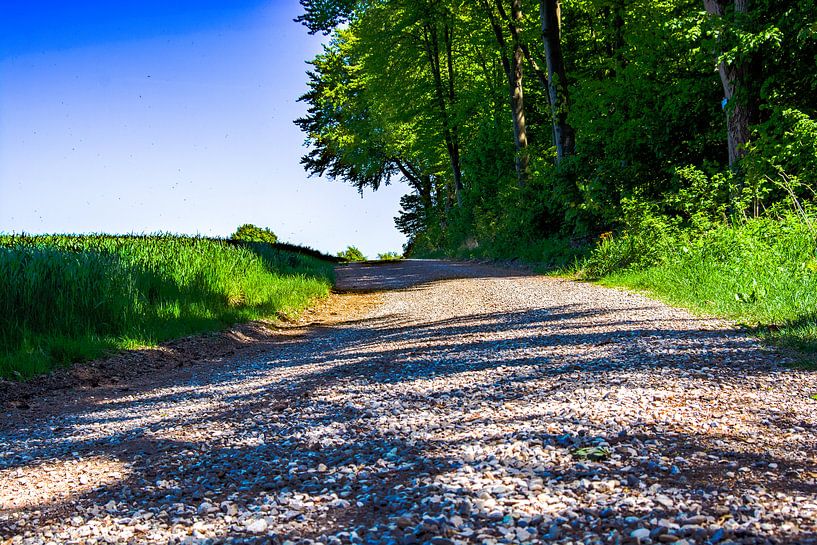 het wandelpad van Photoart-Naegele