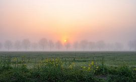 lentelandschap in de mist van Tania Perneel