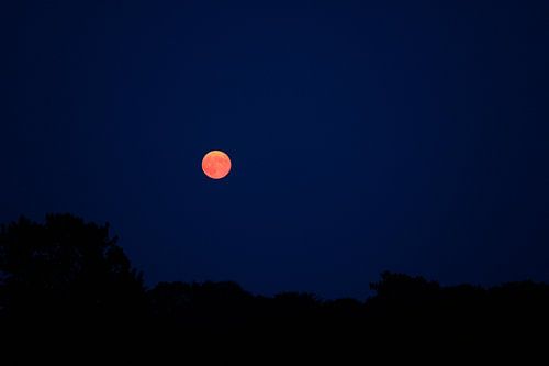 lune orange sur Jeroen Götz