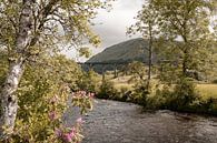 Glenfinnan in den schottischen Highlands - Schottland Fotografie von Henrike Schenk Miniaturansicht