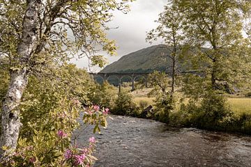 Glenfinnan in den schottischen Highlands - Schottland Fotografie von Henrike Schenk