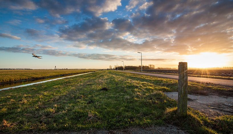 AMS Sunset par Nildo Scoop